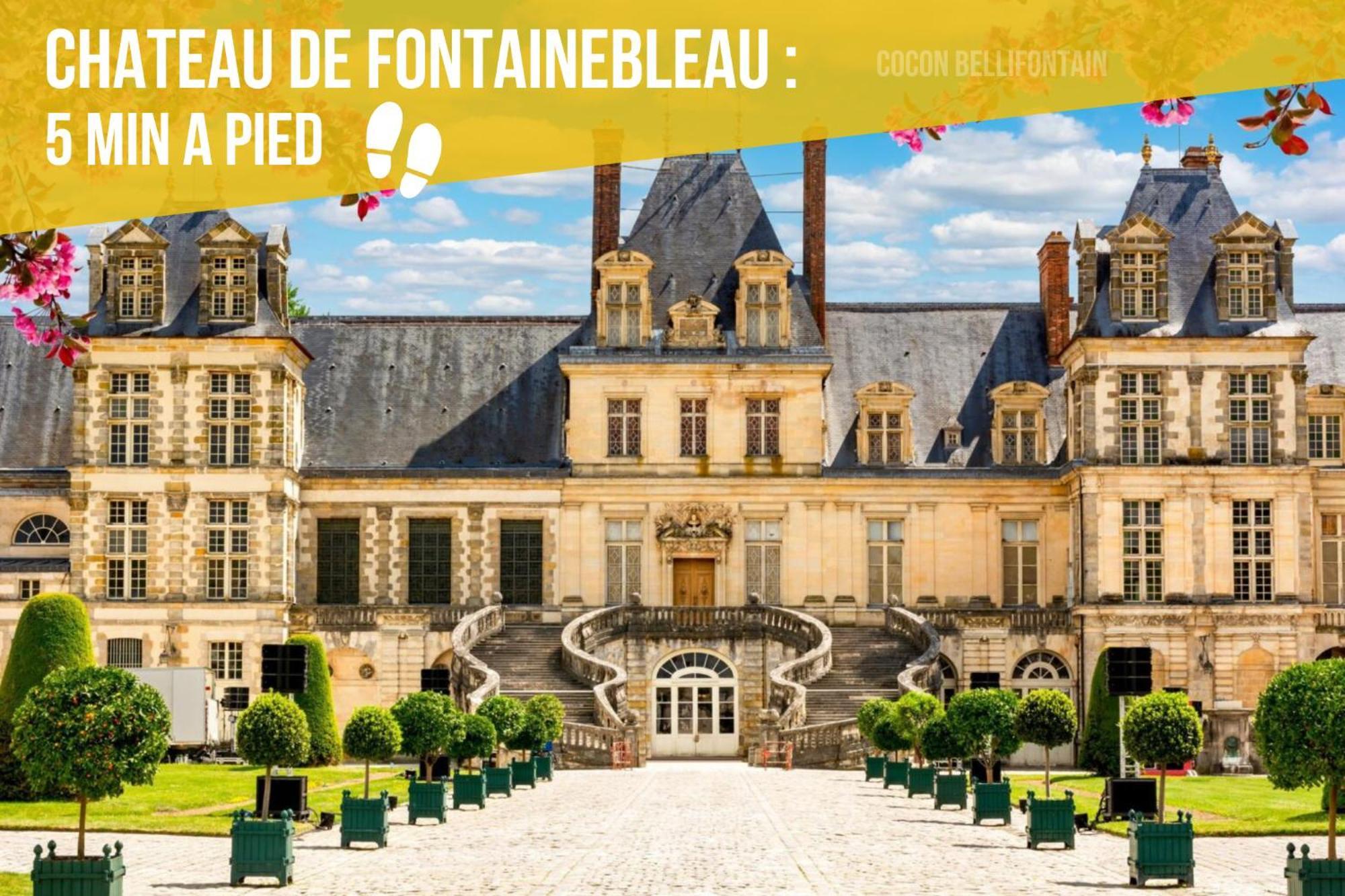 Le Cocon De Fontainebleau - Centre-Ville, Proche Insead & Chateau Экстерьер фото